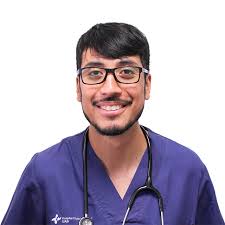 Medicina interna pequeños animales