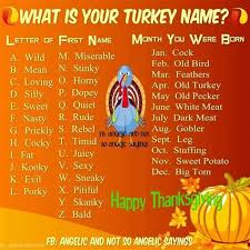 Just take the month you were born and the name associated with it. Thanksgiving Turkey Names Thanksgiving Turkey Tips The First Thanksgiving Turkey On Record To Receive A Reprieve Was In 1963 When President John F Stolack