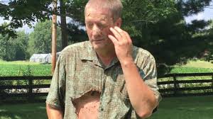 More info2 pictures were removed from this gallery. How Not To Destroy A Hornets Nest Man Gets Stung Multiple Times Burnt Stung Youtube