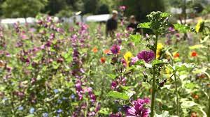 <br> 100% of sales will be donated! Garten Mehr Spass Am Grun Br De