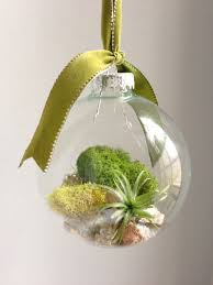 Terrarium Ornament Diy Christmas Ornaments Christmas Diy Christmas Ornaments