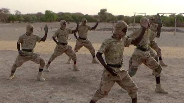 JNIM in Mali: How an al-Qaeda offshoot became one of Africa's deadliest militant groups