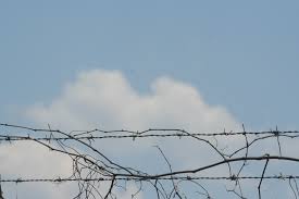 Walmart.com has been visited by 1m+ users in the past month The Wrong Applications For A Barbed Wire Fence Fence Supply Online