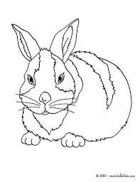 Big coloring pages of animals. Big Rabbit Coloring Page Cute And Amazing Farm Animals Coloring Page For Kids More Colo Farm Animal Coloring Pages Bunny Coloring Pages Animal Coloring Pages