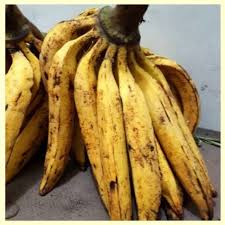 Maybe you would like to learn more about one of these? Pisang Tanduk Manis Kenyal Per Buah Shopee Indonesia