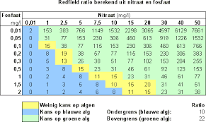 Redfield Ratio  DE MAANVIS NIJMEGEN