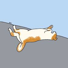 Kucing drawing / cara menggambar kucing lucu how to draw a cute cat youtube : Cat Illustration