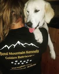 We did not find results for: Akc Inspected Maine Breeder Of Quality Golden Retriever Puppies Akc Golden Retriever Puppies