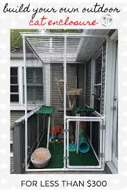 how to build a catio with pvc pipes