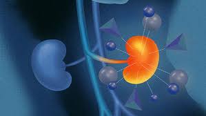 You may also experience difficult or painful urination. The Team That S Doubling Cancer Survival Rates Cancer Ut Southwestern Medical Center