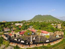 Image result for Staudtia