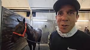 With a huge group racing and following Olivia (Cool For Cats) 🐈 I'd  thought I'd share the update sent out to the Syndicate's members this  morning. As we all know horse's aren't