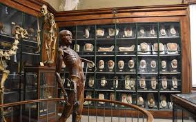 La Plus Vieille Universite De Medecine Est A Montpellier Le Parisien