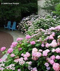 There are links to information on garden design and landscape architecture (including: A Visit To Chanticleer Hydrangeas House Garden Digging