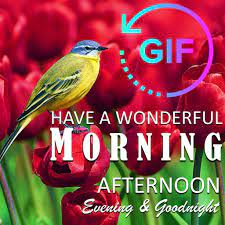 It doesn't matter how late it is. Good Morning Afternoon Evening Goodnight Gif Amazon De Apps Spiele