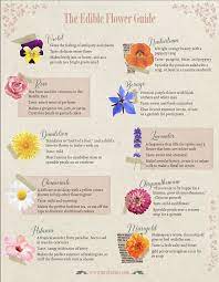 Edible flowers aren't a new phenomenon, but garnishes of fresh flowers tend to intimidate diners. Your Edible Flower Guide Mrs Barnes Flower Guide Edible Flowers Flowers