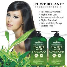With time, your roots get weakened and ultimately fall off. Tea Tree Mint Shampoo And Conditioner This Set Contains Pure Tea Tre First Botany