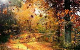 Prachtige Herfst Achtergrond Achtergrond Wallpapers Herfst Landschap Landschap Vallende Bladeren