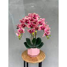 Orkid atau anggerik adalah tanaman hiasan yang paling popular di negara ini. Buy Gubahan Bunga Orkid Hiasan Bersama Pasu Ceramic Limited Edition Seetracker Malaysia
