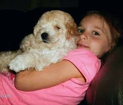 The morning sky at 7am!!