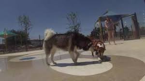 Pavo Real Spray Park Gopro 2017 Youtube