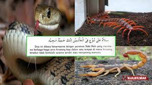 Eh, baru tinggalkan makanan ni sekejap dah kena hurung dengan semut. Doa Elak Gangguan Ular Dan Segala Binatang Berbisa Majalah Ilmiah