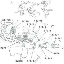 Image result for Chazaliella abrupta