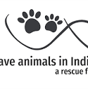 Save Animals in India SAII - A Rescue Foundation