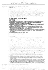 Professional Services Manager Resume Samples Velvet Jobs