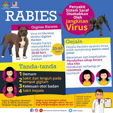 Bahagian kuching daerah kuching daerah bau daerah lundu. Kenyataan Akhbar Kpk Situasi Terkini Kes Rabies Di Sarawak Pada 8 Ogos 2017 From The Desk Of The Director General Of Health Malaysia