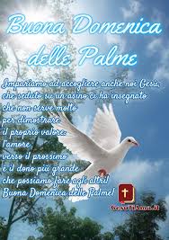 103 immagini e frasi gratis di buona domenica. Domenica Delle Palme Archives Gesutiama It