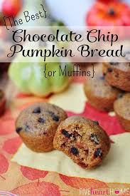 Fold 1 cup of chocolate chips. The Best Pumpkin Chocolate Chip Bread Fivehearthome
