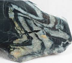 Image result for Isoglossa eliasbandae