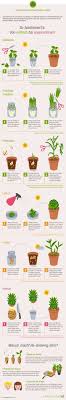 Die Infografik Zeigt Ihnen Wie Sie Aus Kuchenresten Neues Gemuse Ziehen Drucken Sie Die Grafik Aus Und Ziehen Sie Ihr Eigenes Pflanzen Garten Pflanzen Garten