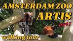 ARTIS ZOO AMSTERDAM - WALKING TOUR | 4K UHD | part 1 - YouTube
