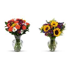 Fresh cut flowers near me. Buy Benchmark Bouquets Life Is Good Flowers Orange With Vase Fresh Cut Flowers Flowering Fields With Vase Fresh Cut Flowers Online In Vietnam B075x5wx5w