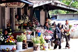 Bunga berwarna kuning terang yang disebut bunga matahari. Wow 24 Bunga Mawar Untuk Pacar Di Bandung Gambar Bunga Indah