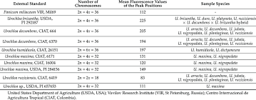 Image result for Urochloa platynota