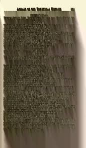 Image result for Eriochrysis pallida
