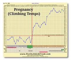 bbt charting the art of temping the fertile chick