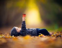 Image result for photography