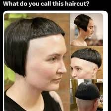 cw: birds, hair I've been trying to figure out what this type of hairstyle  is called for years, and I've finally found this page. However, I'm  confused by some of the examples: