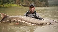 Cyril chauquet est un passionné de pêche et un aventurier intrépide qui parcourt la planète en quête des poissons les plus impressionnants. Cyril Chauquet Youtube