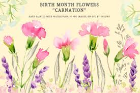 Most people have heard of birthstones, but did you know that there are also flowers associated with birth months. Birth Month Flowers January Carnation By Swiejko Tpt