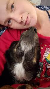 So after having this baby for a week, come to find out per messages sent to  me, he was most likely dumped, someone posted him for free