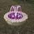 Outdoor Garden Water Fountains