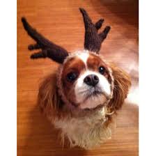 Pattern crochet reindeer by plyushki toys patterns. Rofl Dog Antlers Knitting Pattern By Rofl Hat Factory