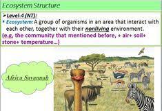 In ecology, the term habitat summarises the array of resources, physical and biotic factors that are present in an area, such as to support the survival and reproduction of a particular species. 8 Introduction Of Ecology Ideas Ecology Habitats Ecosystems