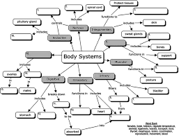 body systems concept map for students to fill in the blanks