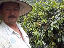 CAFE TABI FUNDACION FRUTOS DE MI TIERRA FAC G